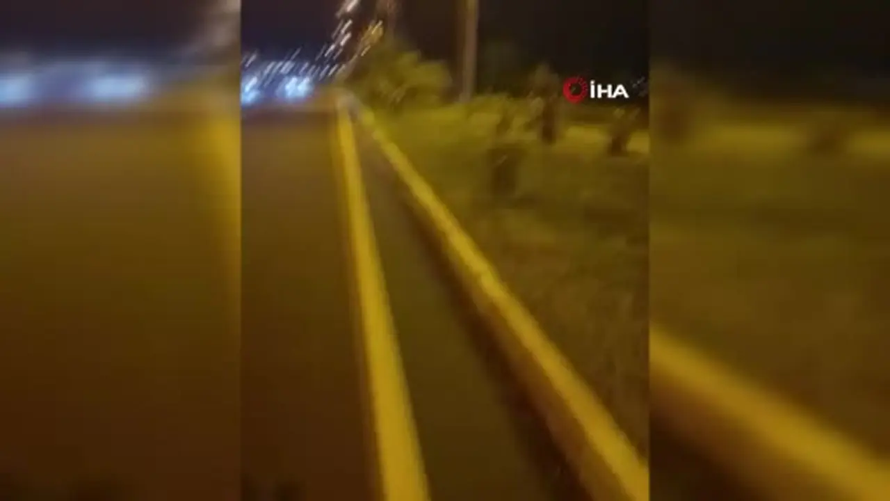 Batman "Köpekler saldırmıyor" deyip video çekerken derken köpeklerin saldırısına uğradı