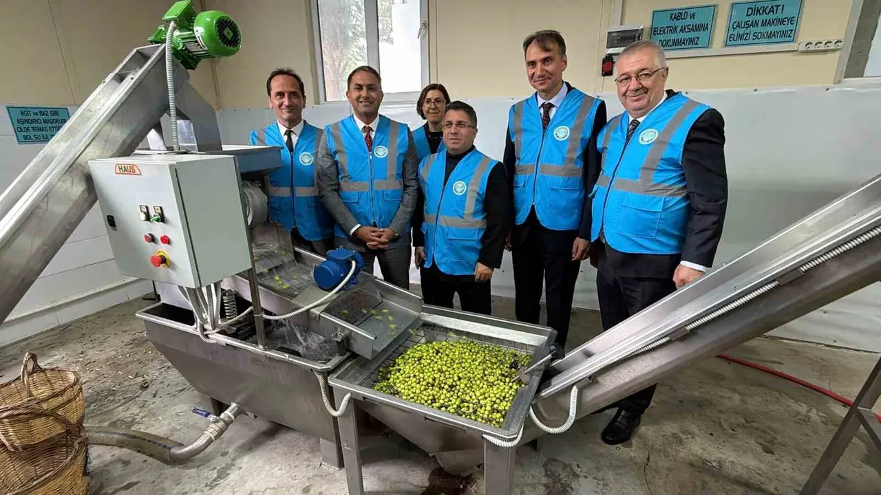 Edremit’te Akademik Zeytin Hasat Şenliği düzenlendi