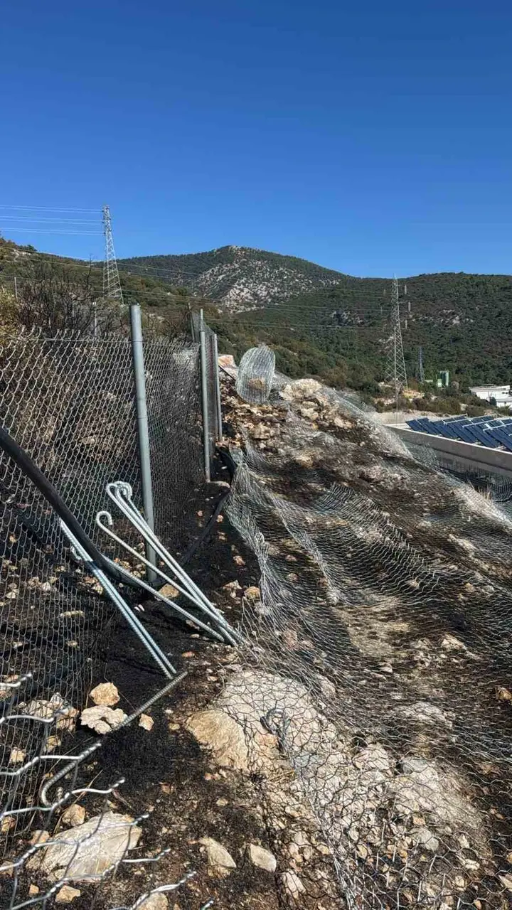 Bodrum’da alevler makilik alana yayıldı