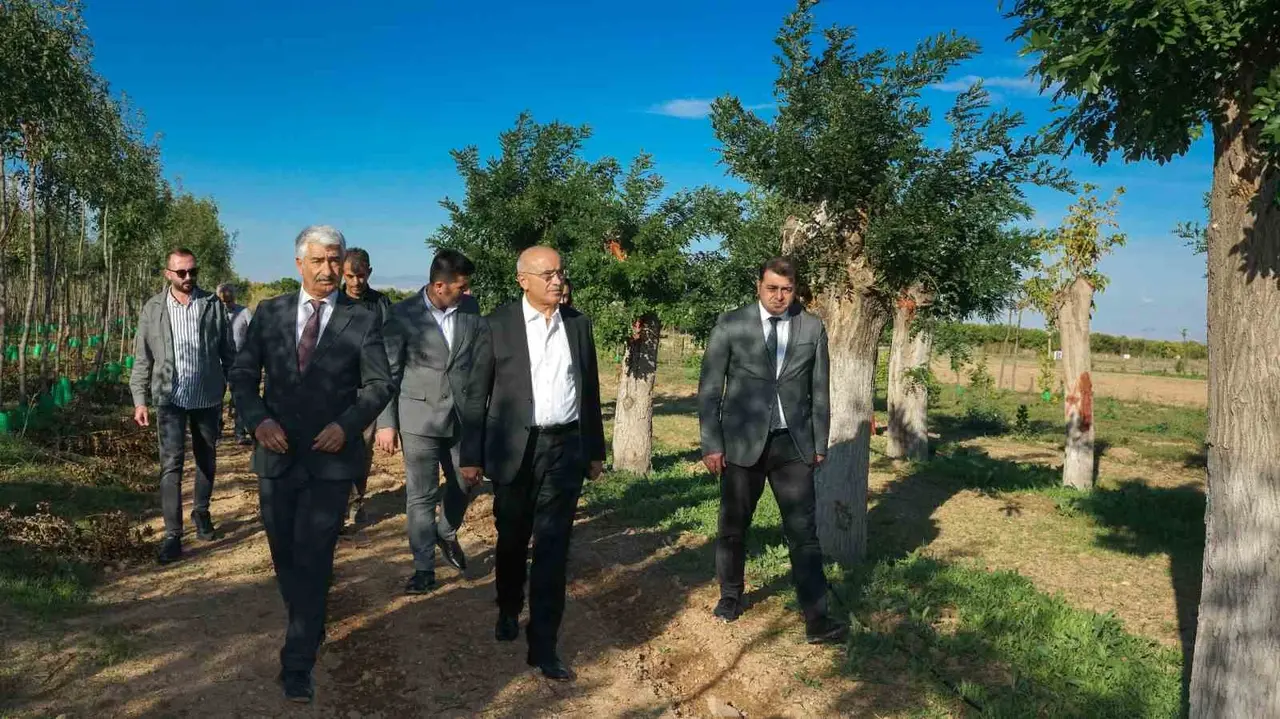 Büyükşehir’den yılda 20 bin fidan ve 50 bin metrekare rulo çim üretimi