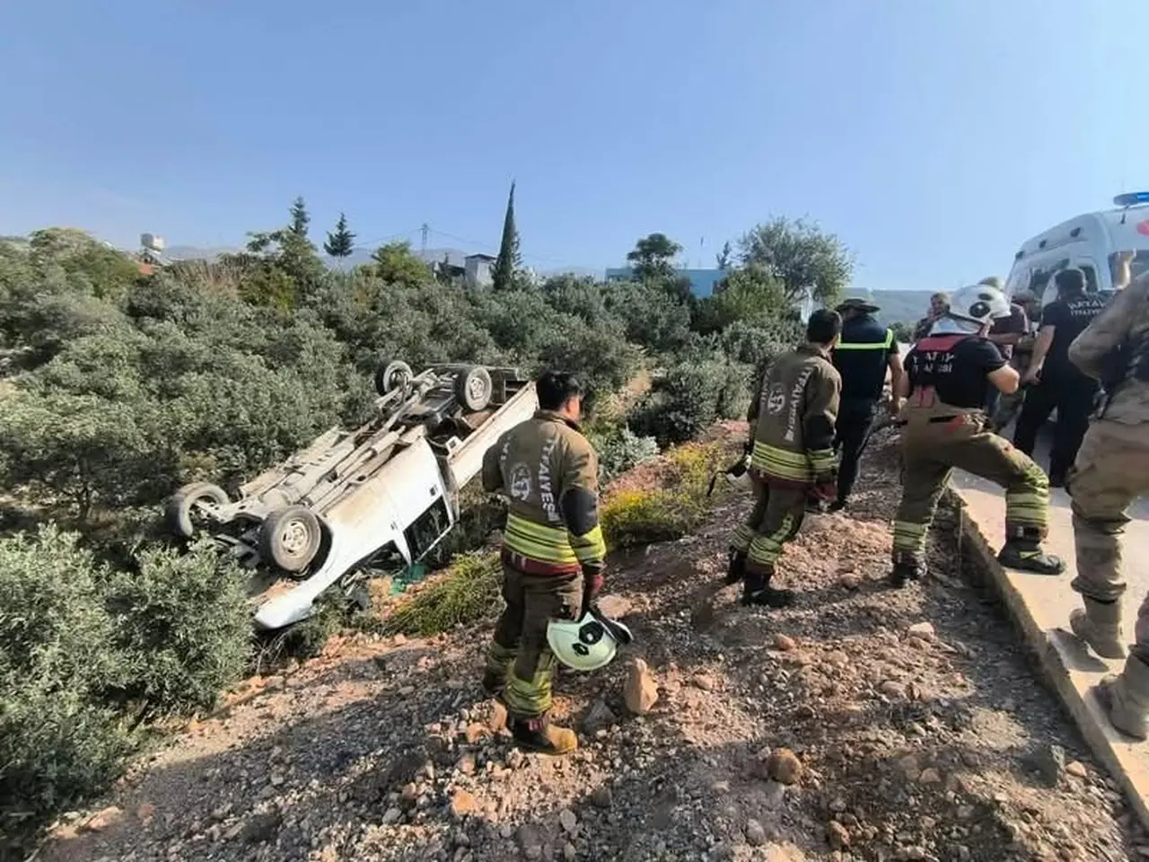 Zeytinliğe uçan kamyonetin sürücüsü yaralandı