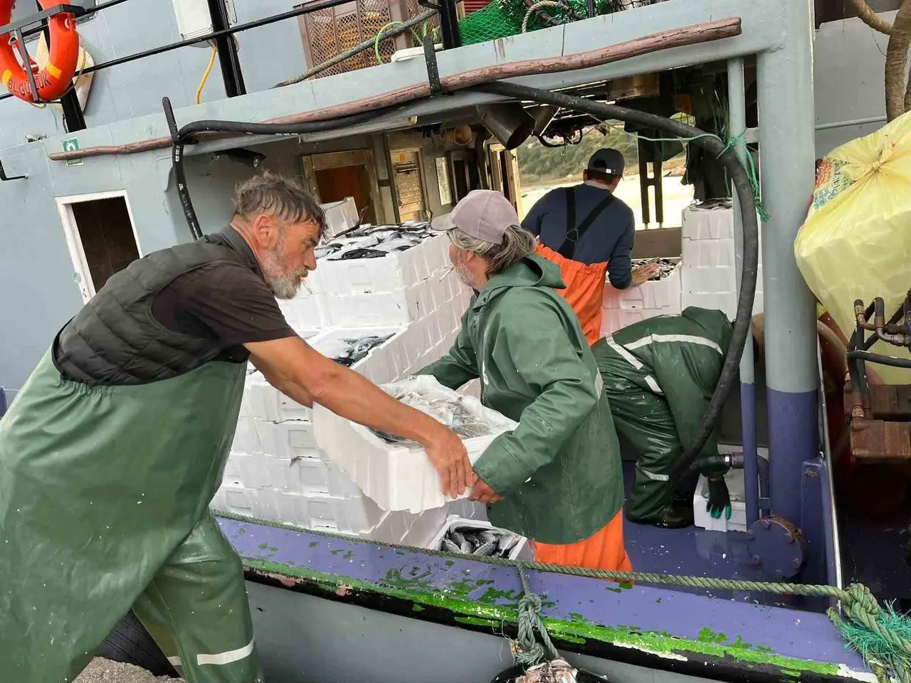 Didim’de su ürünleri avcılığı denetimleri sürüyor