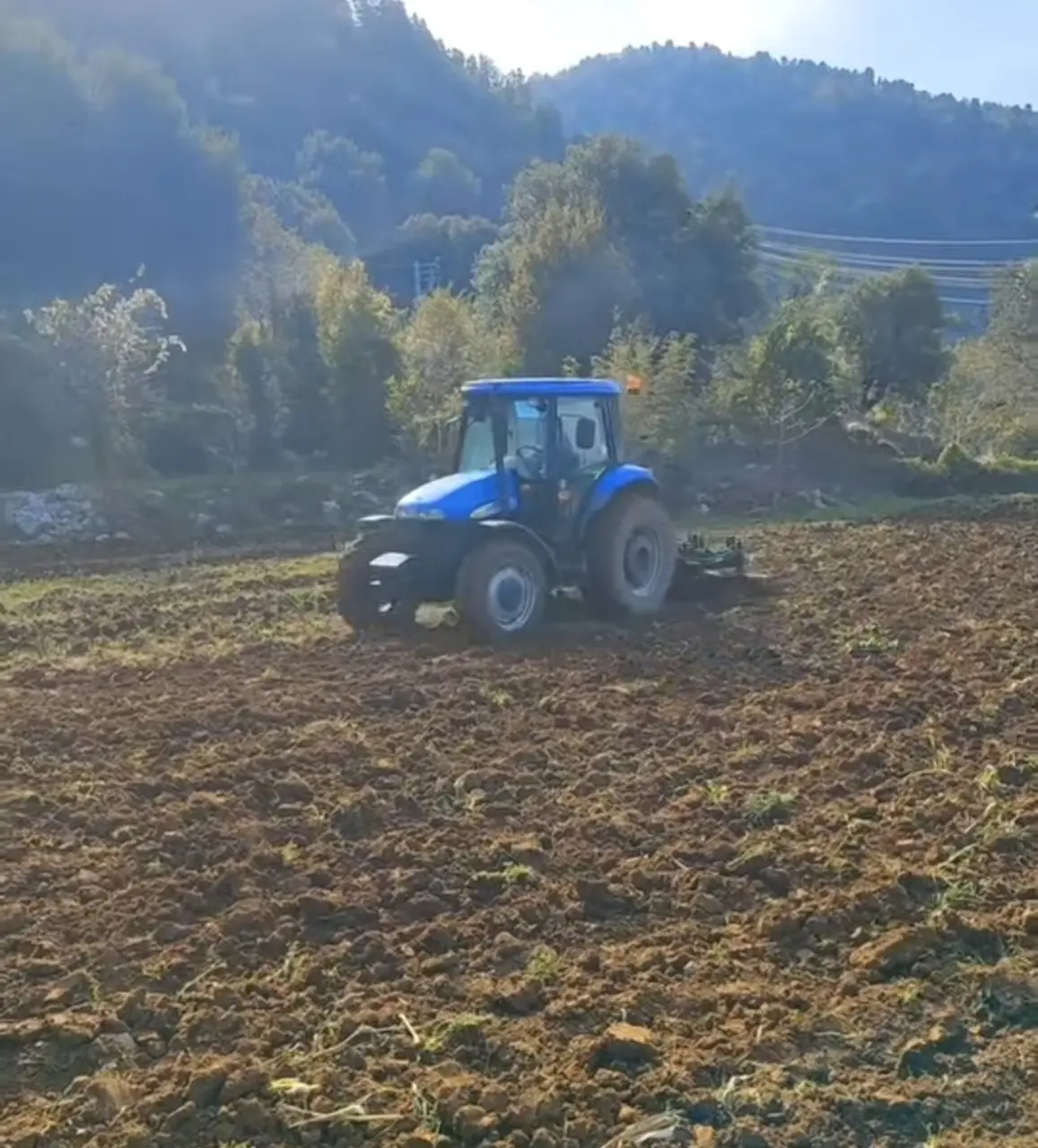 Kahramanmaraş’ta sonbahar yağmurları buğdaya can suyu oldu