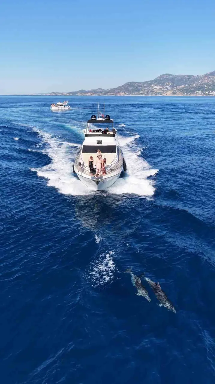 Alanya açıklarında yunus sürüsü dronla görüntülendi