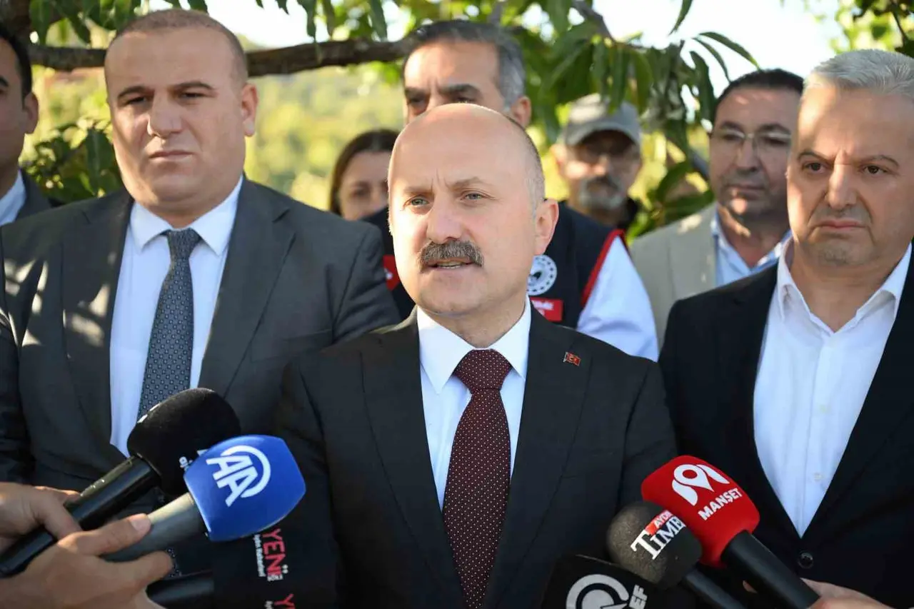 Aydın’da 5 bin 629 kestane üreticisi hasat heyecanı yaşıyor