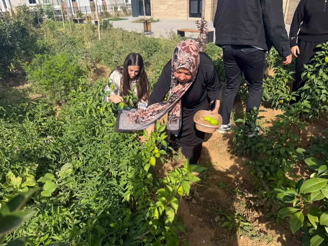 Sason’da kütüphane bahçesinde yetiştirilen sebzeler şehit aileleri ve ihtiyaç sahiplerine ulaştırıldı