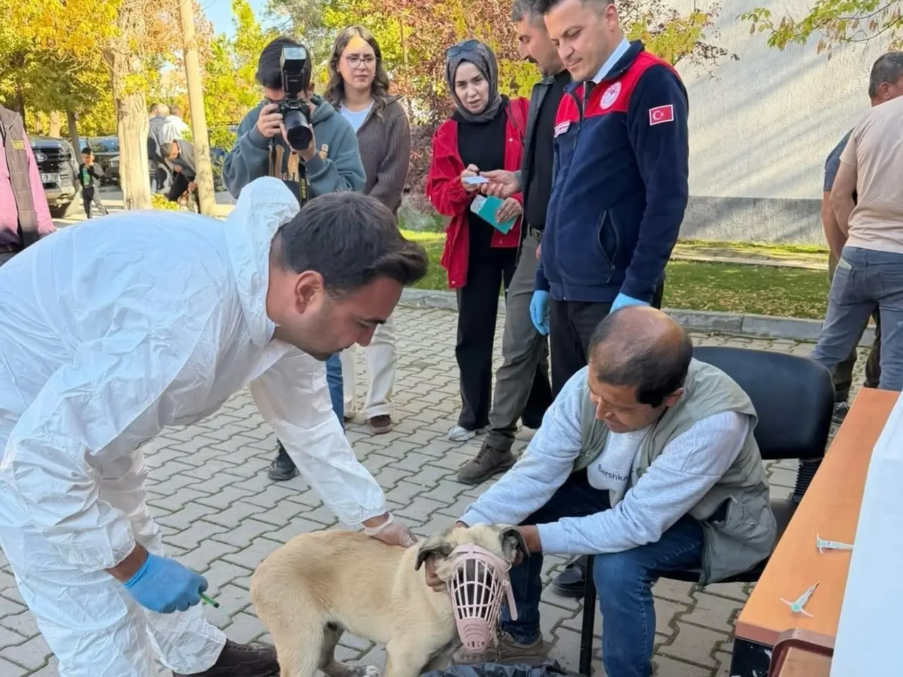 Afşin’de kuduzla toplu mücadele: 230 hayvan aşılandı, 60’ına mikroçip takıldı