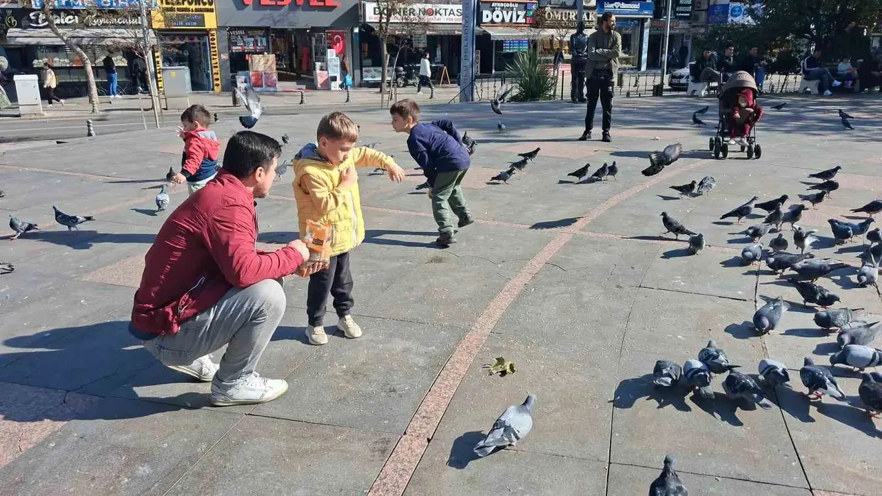 Bir yerde kış bir yerde yaz