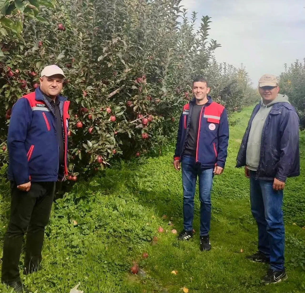 Çay’da kabak çekirdeği ve elma üreticilerine saha ziyareti