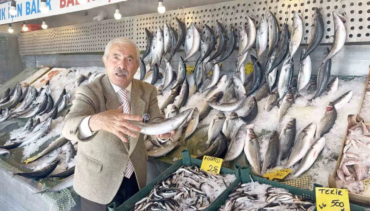 Palamutta bereket, kilosu 100 TLl’ye düştü