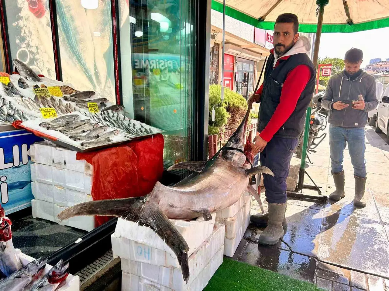 Ankara’da 2,5 metrelik dev kılıç balığı ilgi odağı oldu