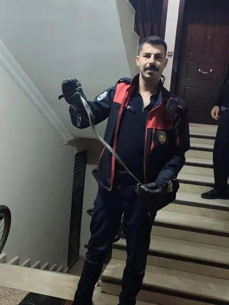 Defne’de yerleşim yerinde görülen yılan doğaya bırakıldı