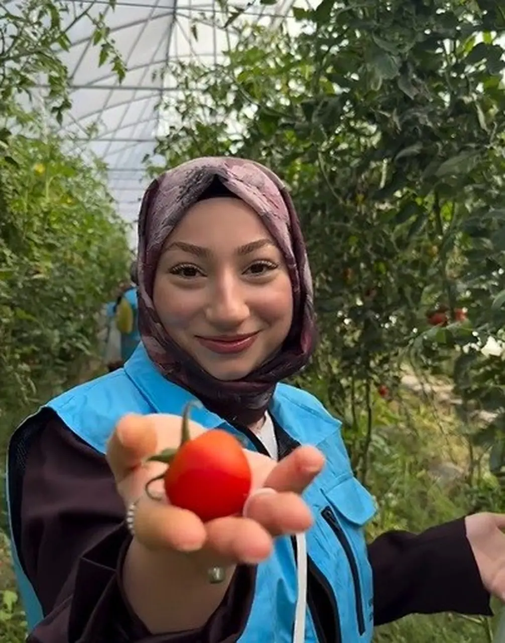 Çayırlı’da öğrenciler sera ziyaretinde hasada katıldı