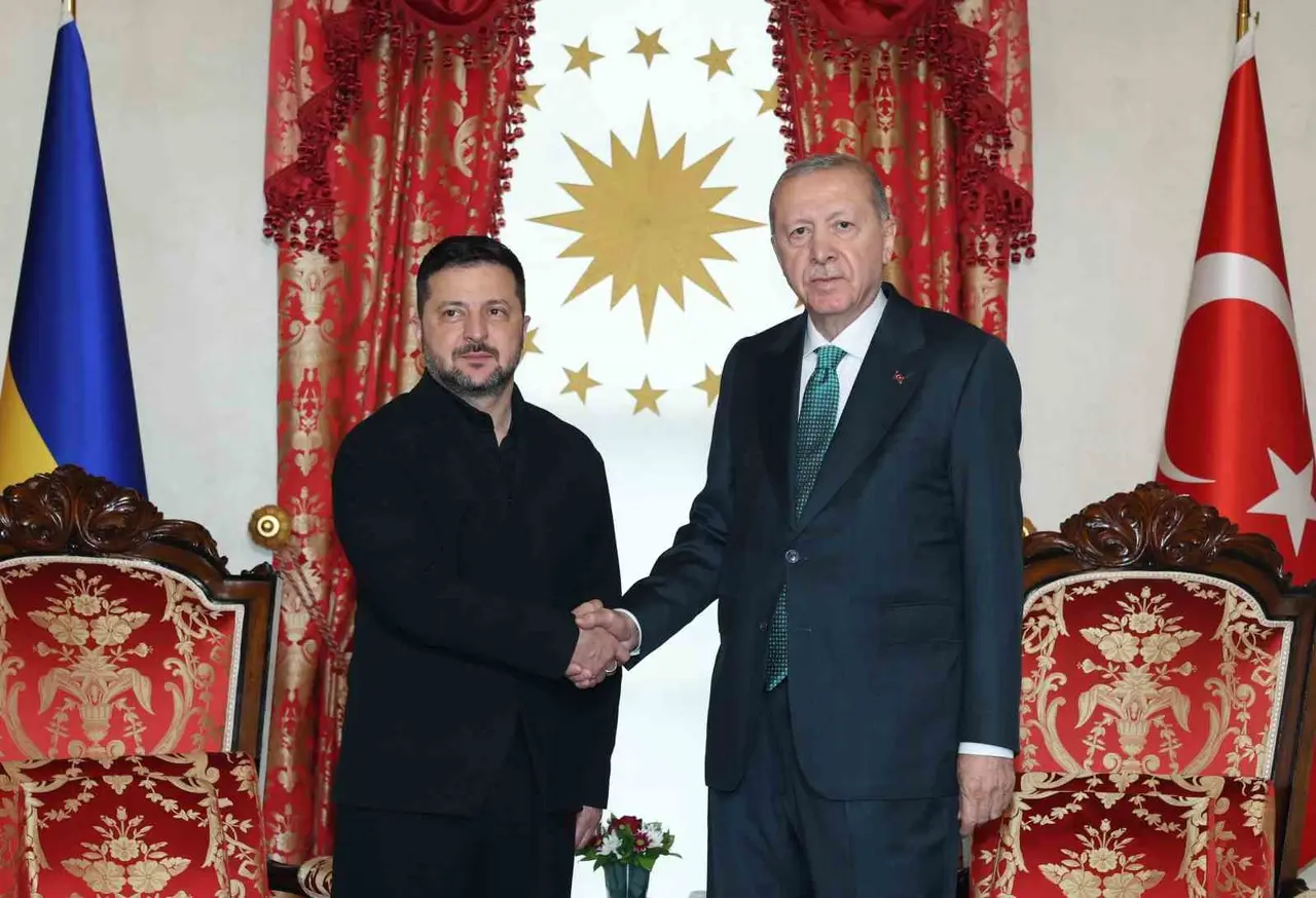 Cumhurbaşkanı Erdoğan, Zelenskiy ile Dolmabahçe’de bir araya geldi
