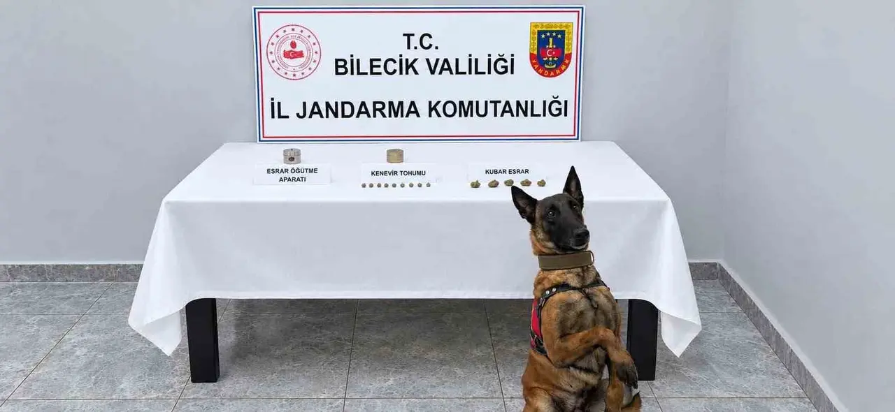 Narkotik köpeği uyuşturucuyu kokusundan buldu