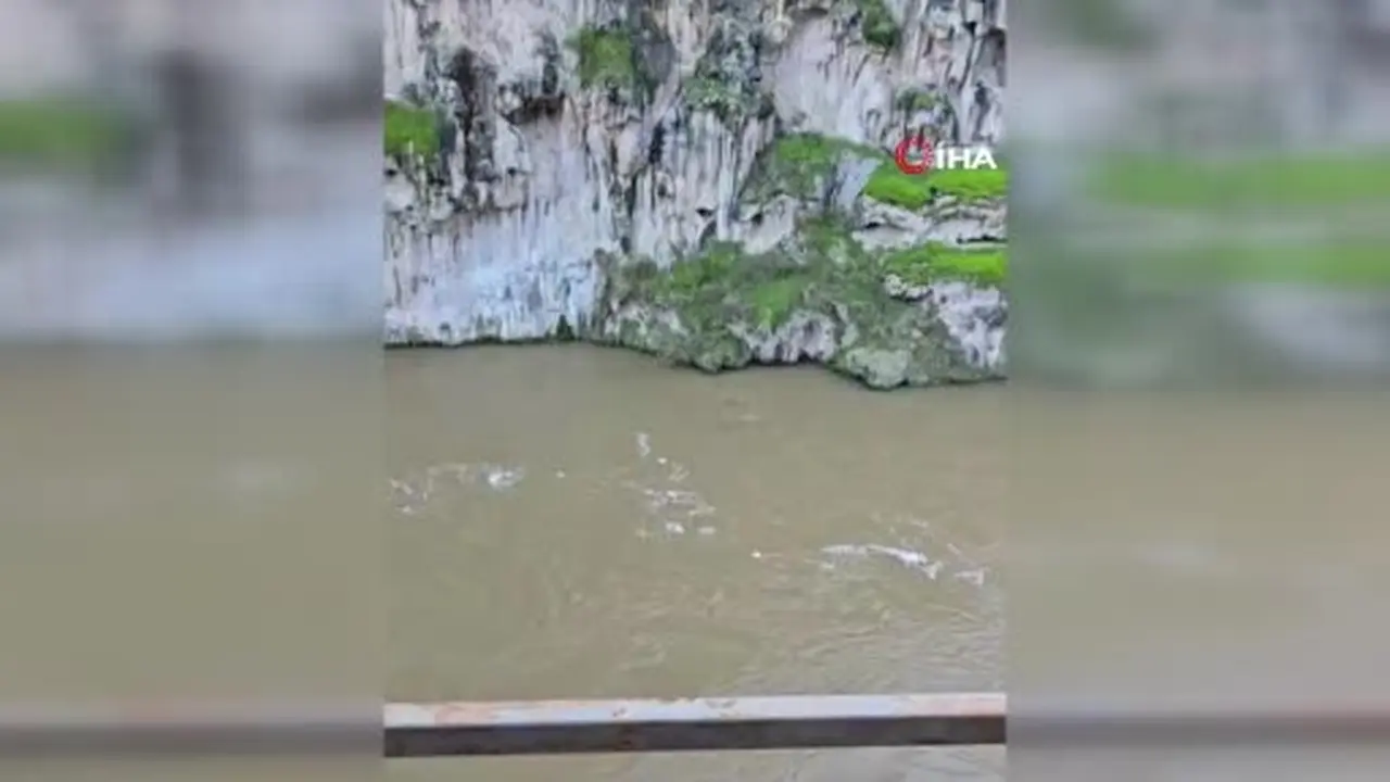 Peri Suyu’nda üç su samuru görsel şölen sundu