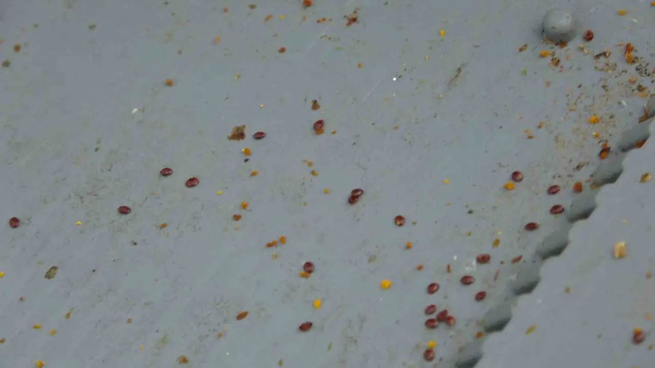 Arılı kovanların ilkbahara sağlıklı çıkması için varroa mücadelesi büyük önem taşıyor