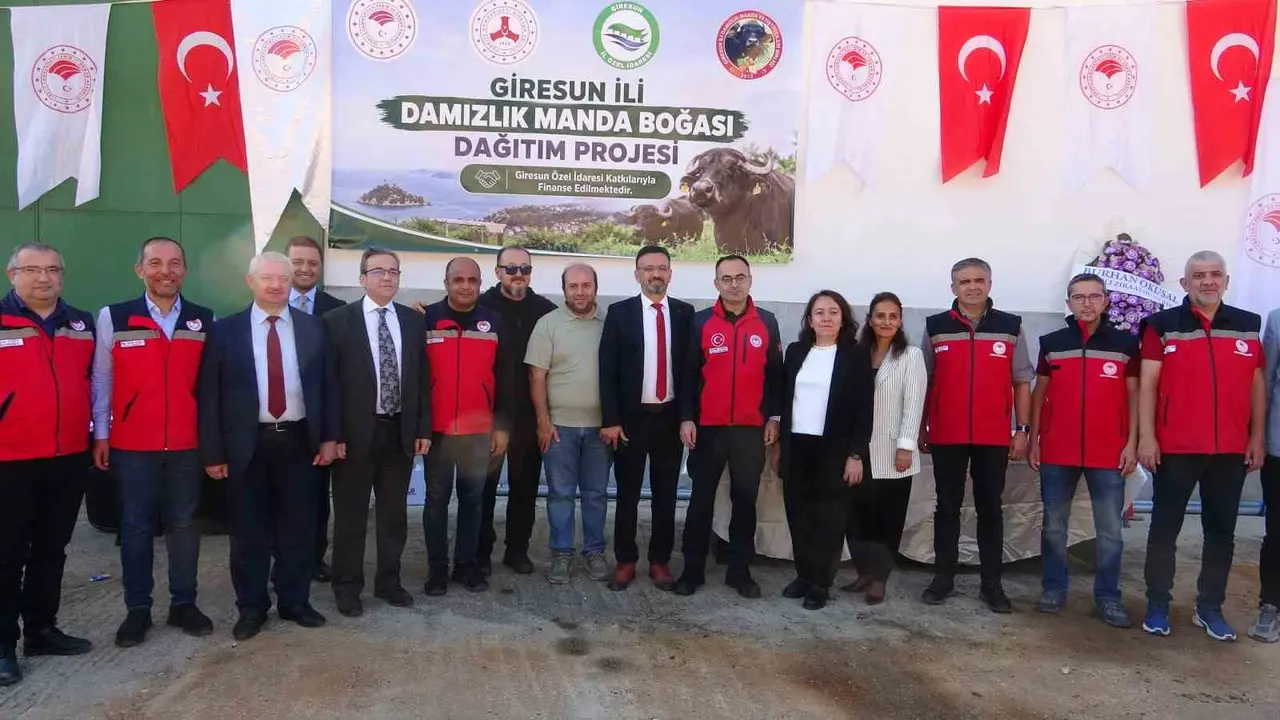 Giresun’da manda yetiştiriciliğinde verimi artıracak destek