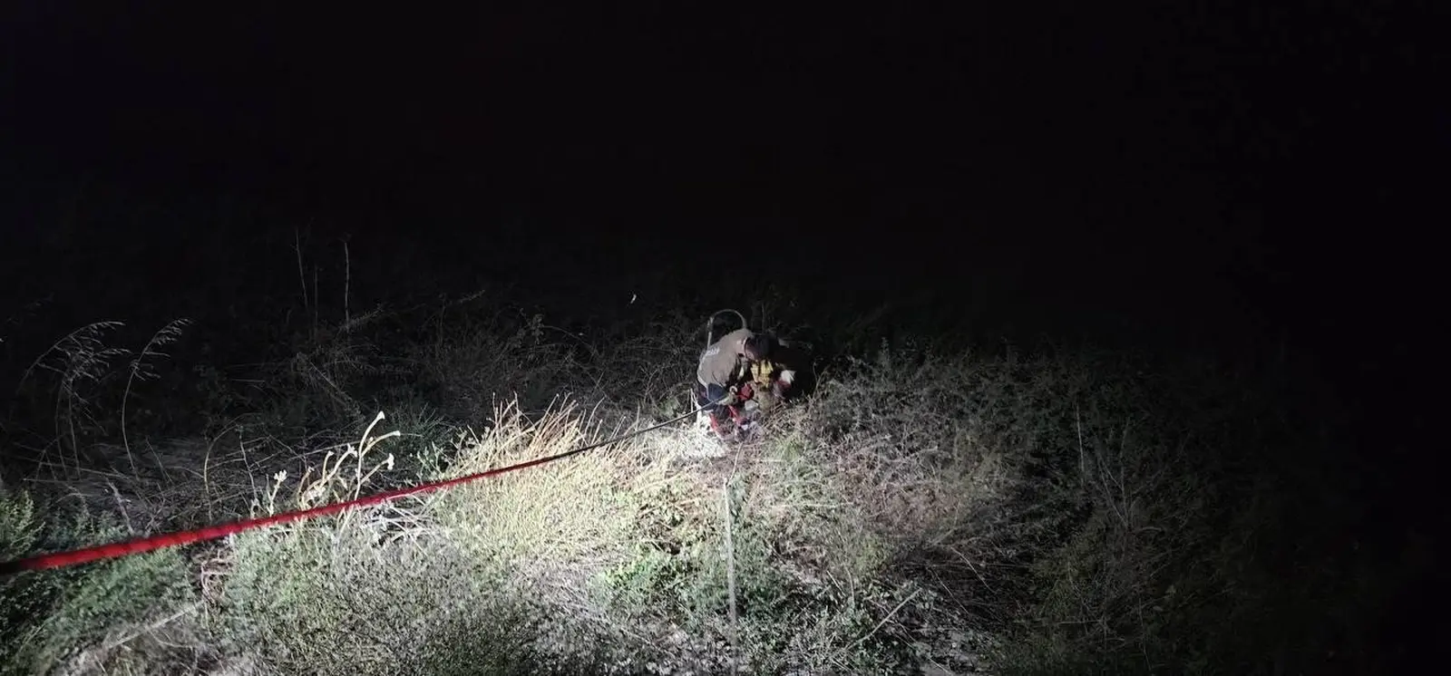 Asi Nehri’ne düşen koç itfaiye ekiplerinin zorlu çalışmasıyla kurtarıldı
