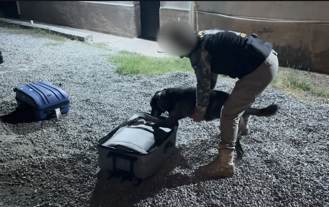 Iğdır’da uyuşturucu operasyonu: 1 kilo 442 gram metamfetamin ele geçirildi, 6 kişi tutuklandı
