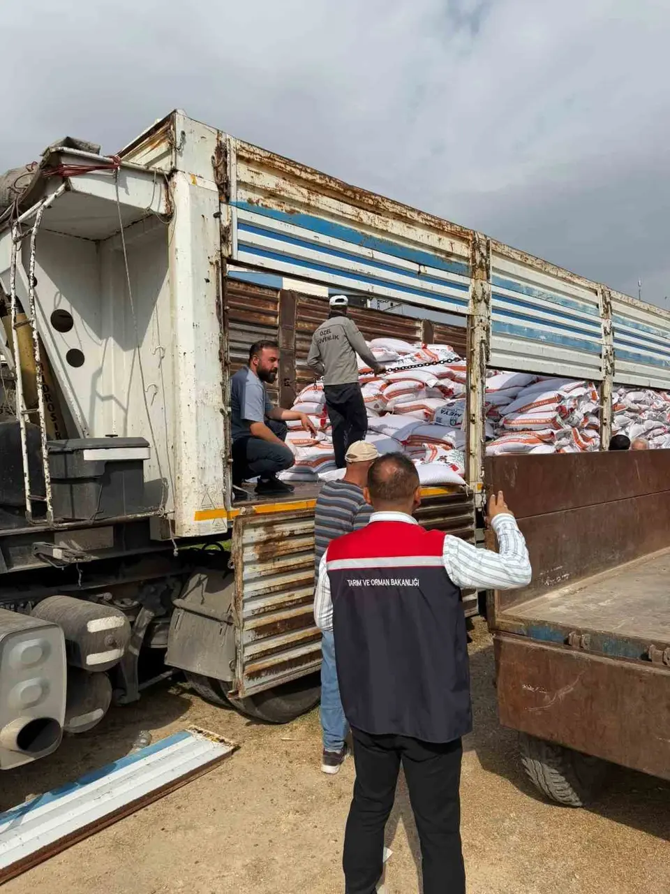 Mazıdağı’nda 167 çiftçiye 40 ton mercimek tohumu desteği