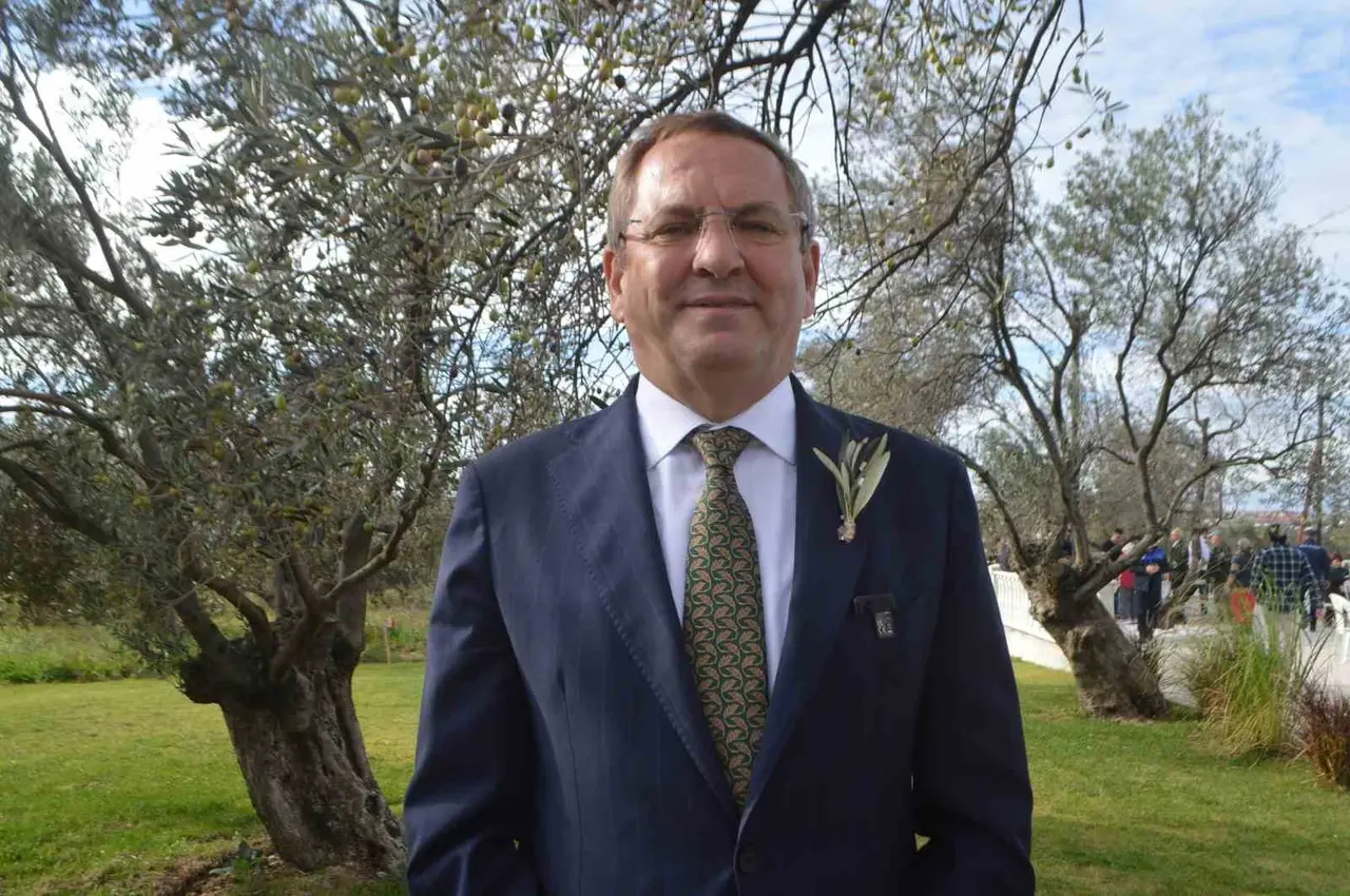 21. Uluslararası Zeytin Hasat ve Turizm Festivali’nde hasat yapıldı