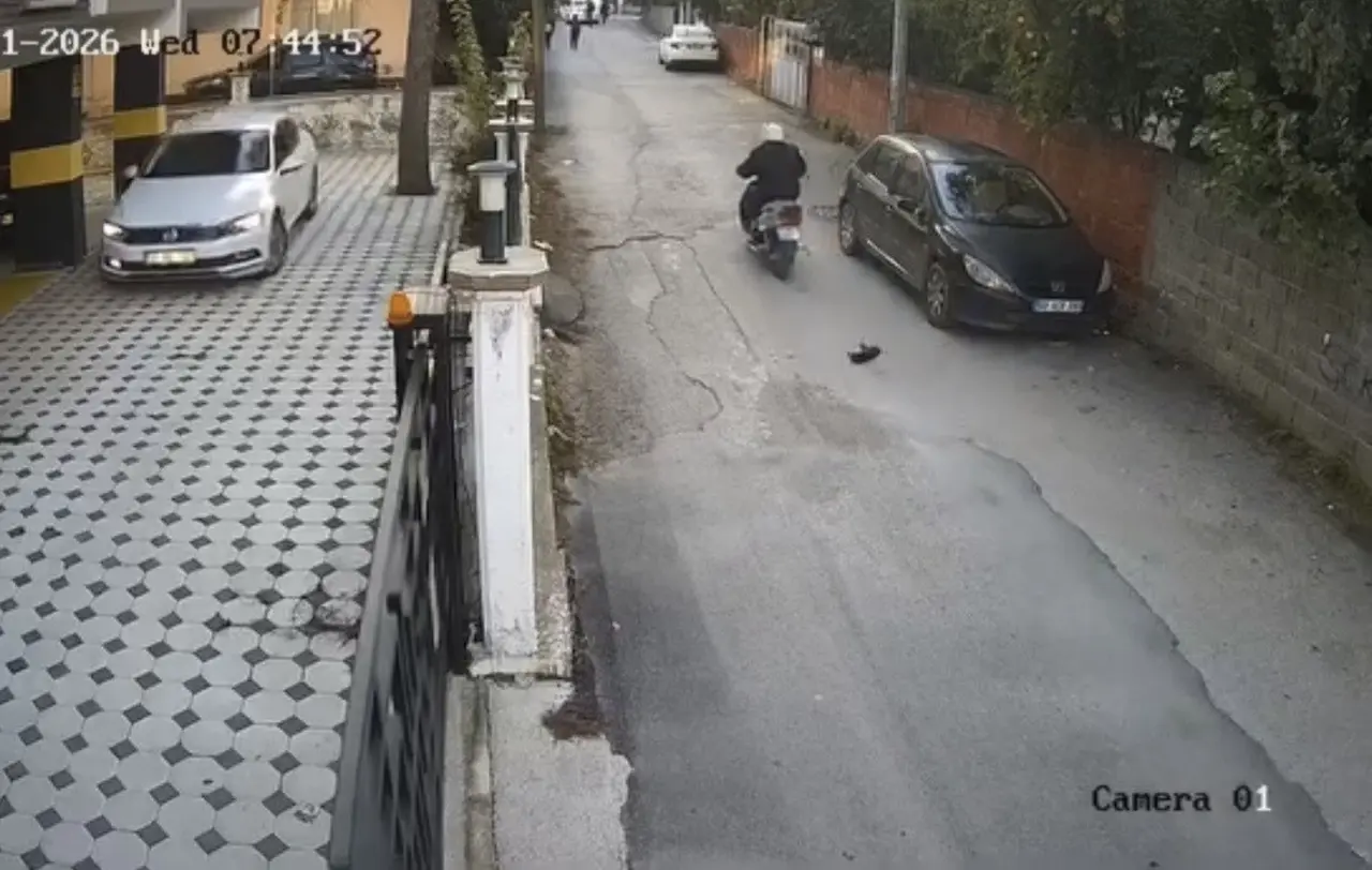 Osmaniye’de motosikletin çarptığı kedi öldü