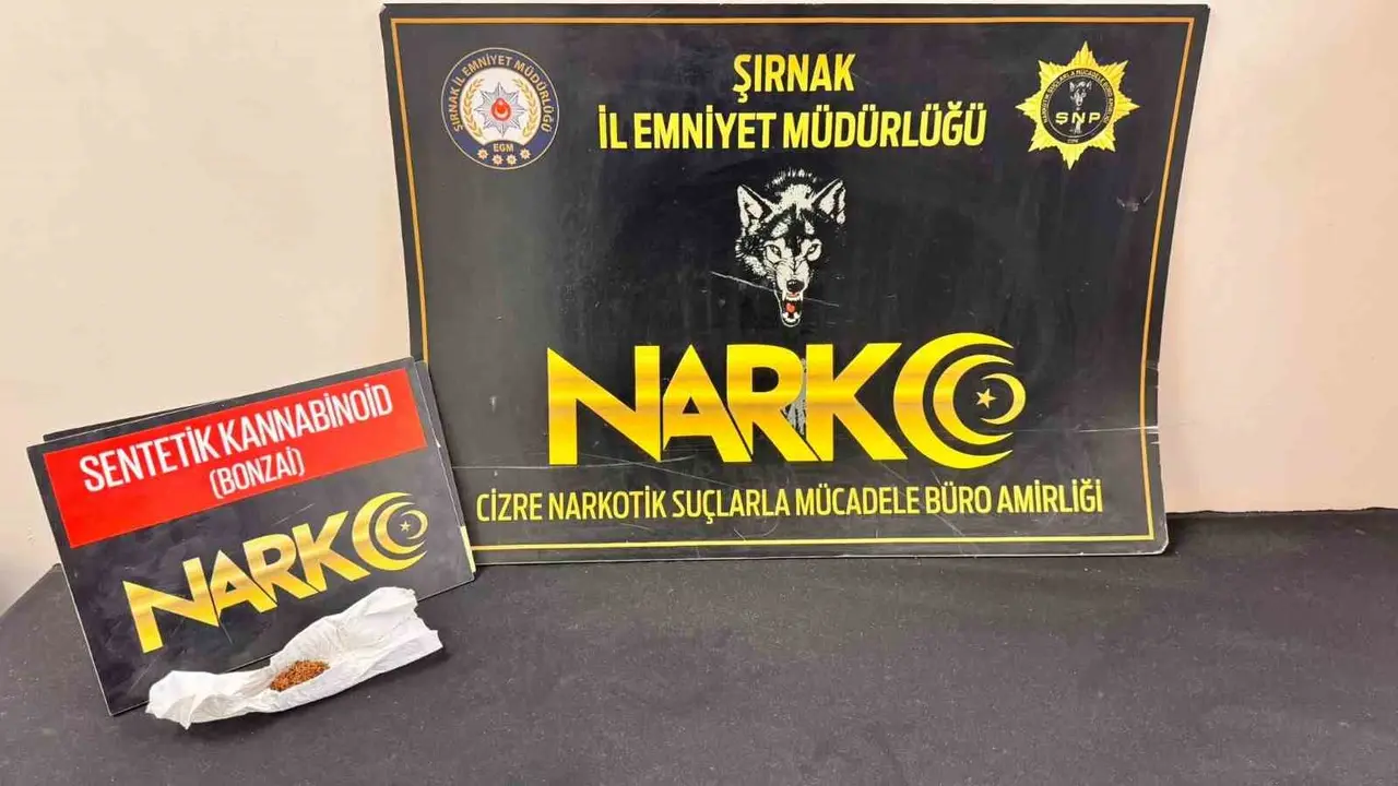 Şırnak’ta emniyet ekiplerinden asayiş, kaçakçılık ve narkotik operasyonu: 17 tutuklama