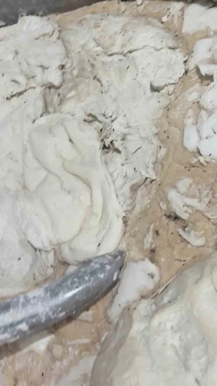 Hamam böceği ve sigara izmaritinden geçilmeyen fırında mide bulandıran görüntüler