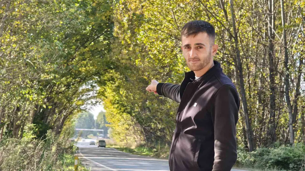 Tokat’ta kavak ağaçlarından sonbahar tüneli