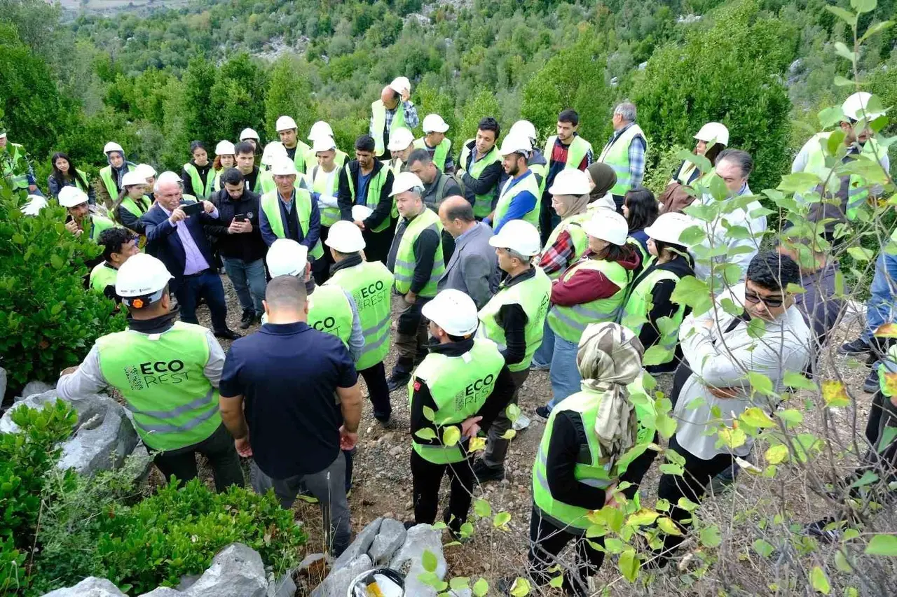 Kahramanmaraş’ta 450 hektarlık alanda defne seferberliği