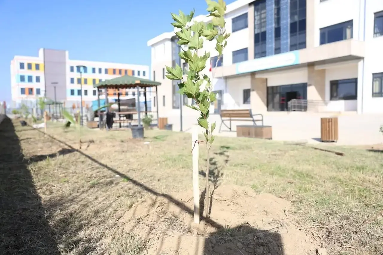İncirliova’da özel eğitim okulunun bahçesi yeşillendi