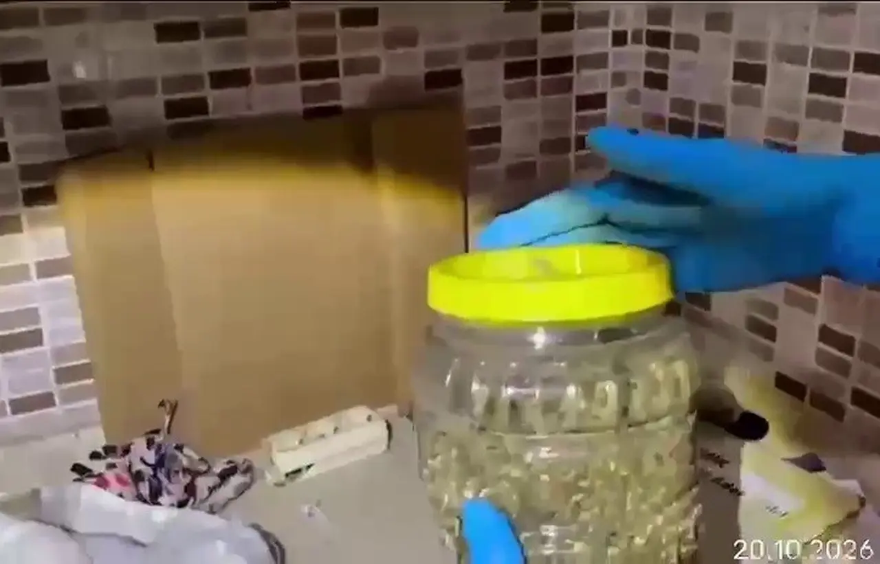 Mutfak dolabından esrar çıktı