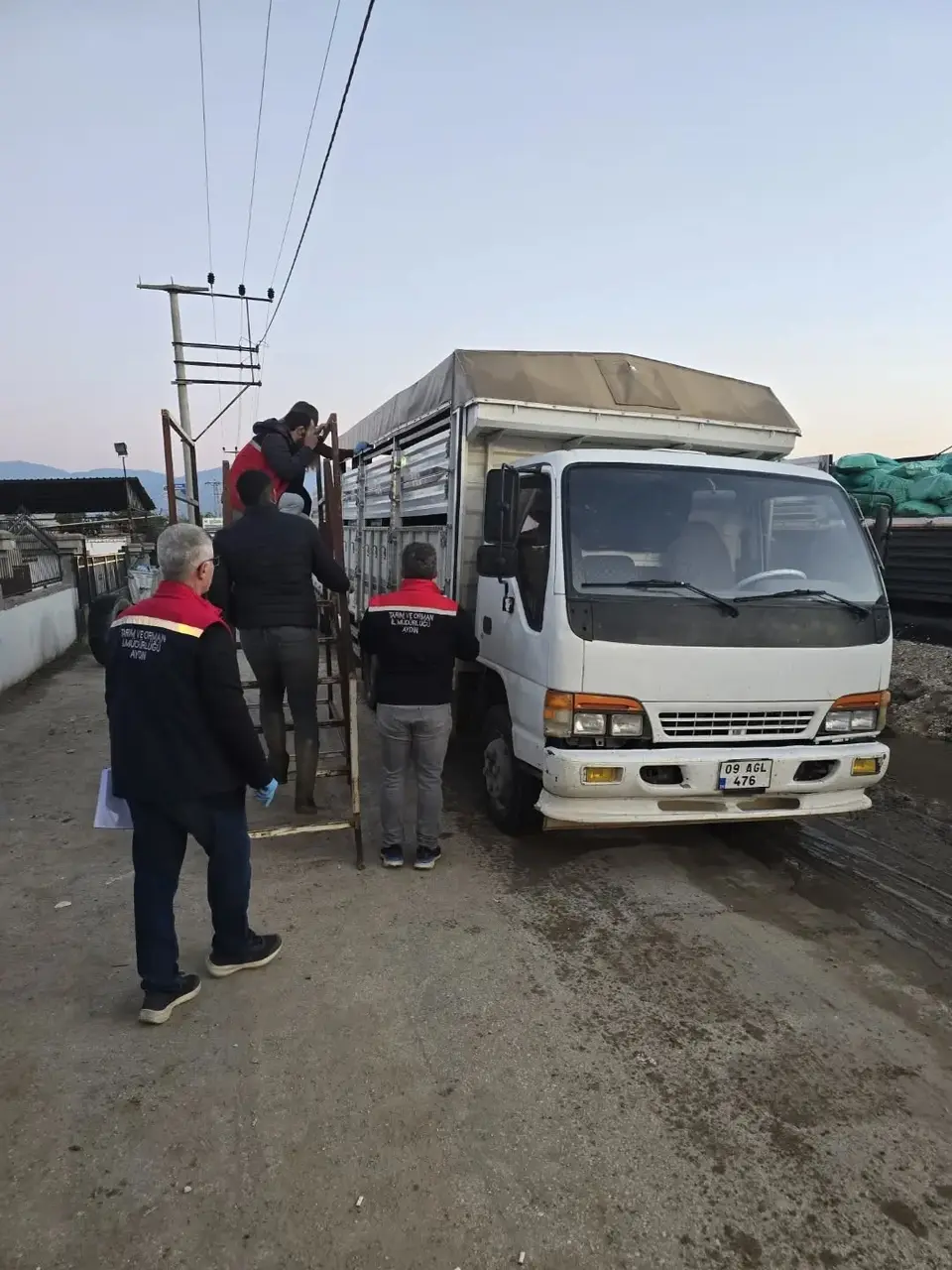 Aydın’da hayvan pazarında sıkı denetim