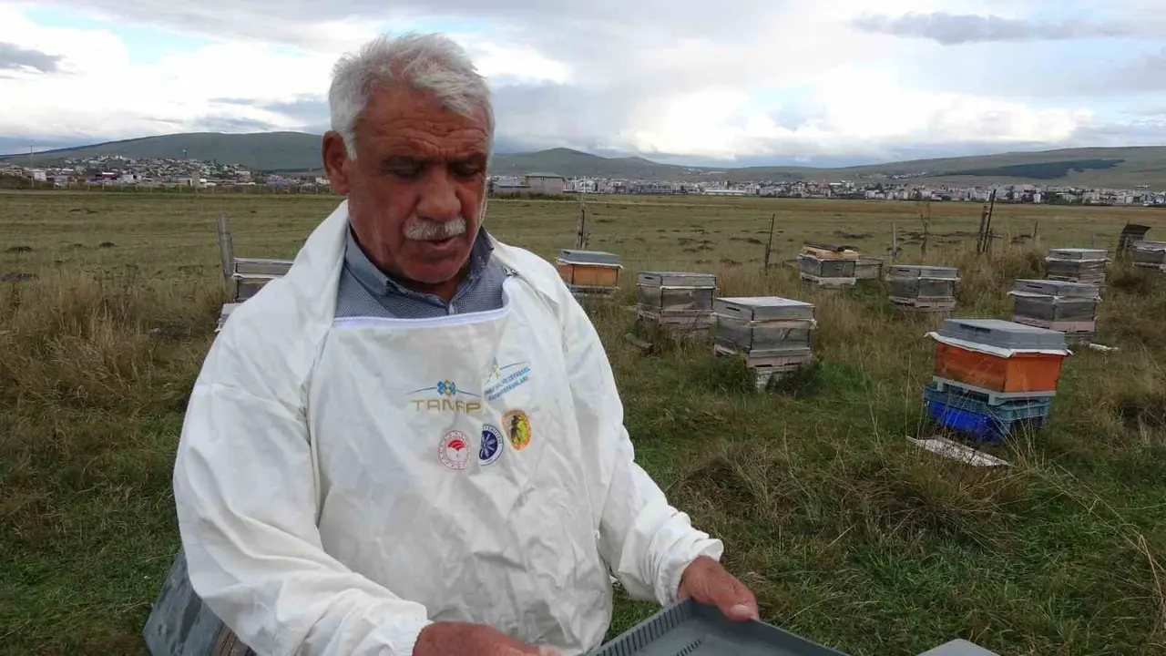 Arılı kovanların ilkbahara sağlıklı çıkması için varroa mücadelesi büyük önem taşıyor