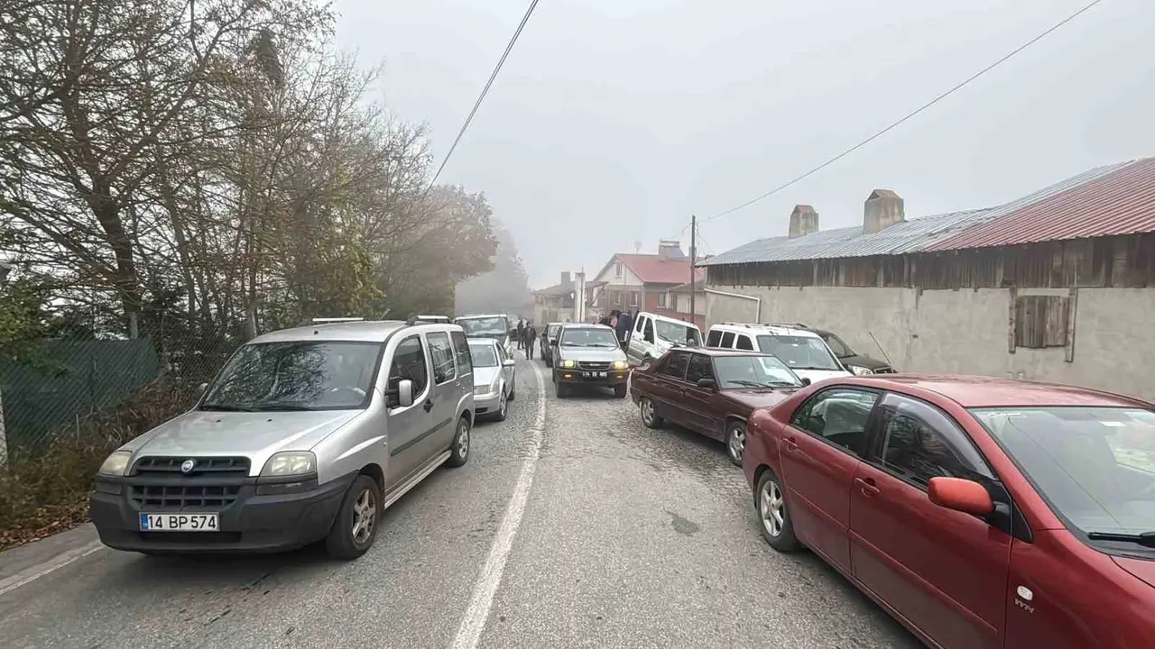 Bolu’da virajı alamayan kamyon devrildi: Onlarca tavuk telef oldu