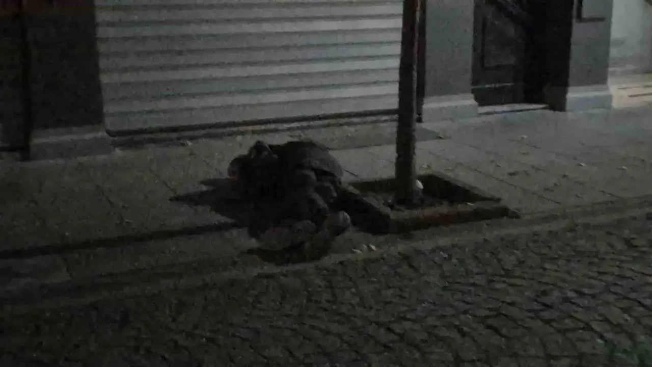 Sokak ortasında iki kez bayılan alkollü şahıs paniğe sebep oldu