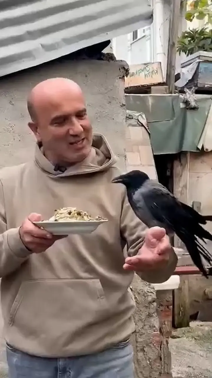 4 yıldır beslediği kargasına elleriyle balık yedirdi