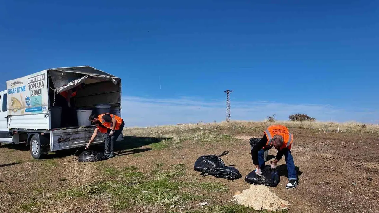 Elazığ Belediyesi’nden sokak hayvanlarına mama ve su desteği