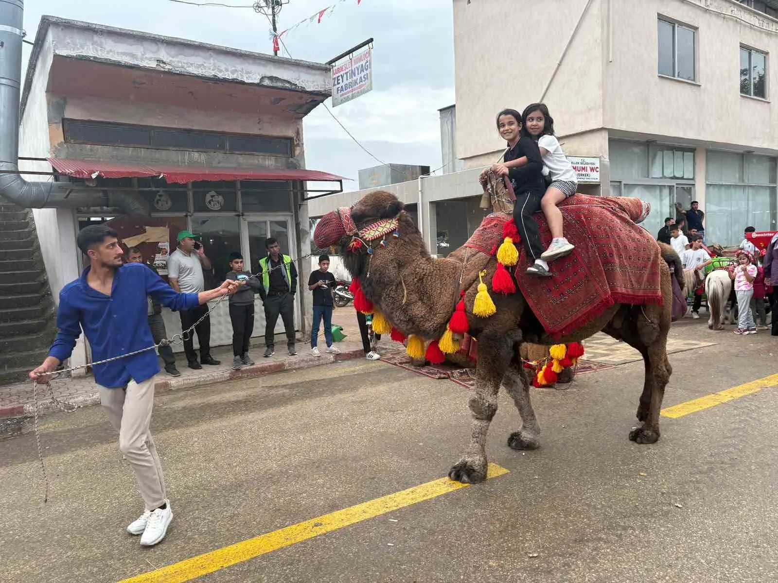 Osmaniye’de zeytin festivaline traktör çekme yarışması damga vurdu