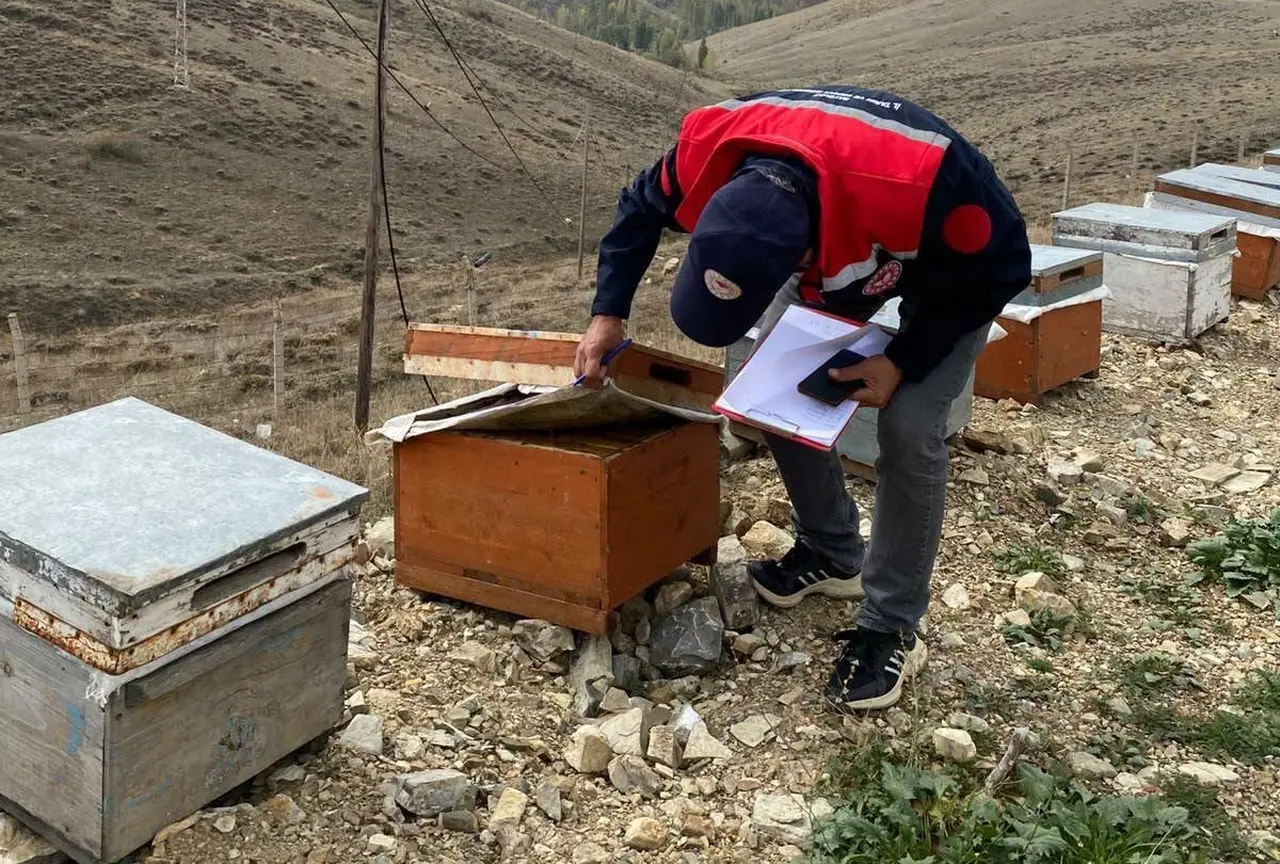 Bayburt’ta arılı kovan desteği için saha kontrolleri sürüyor