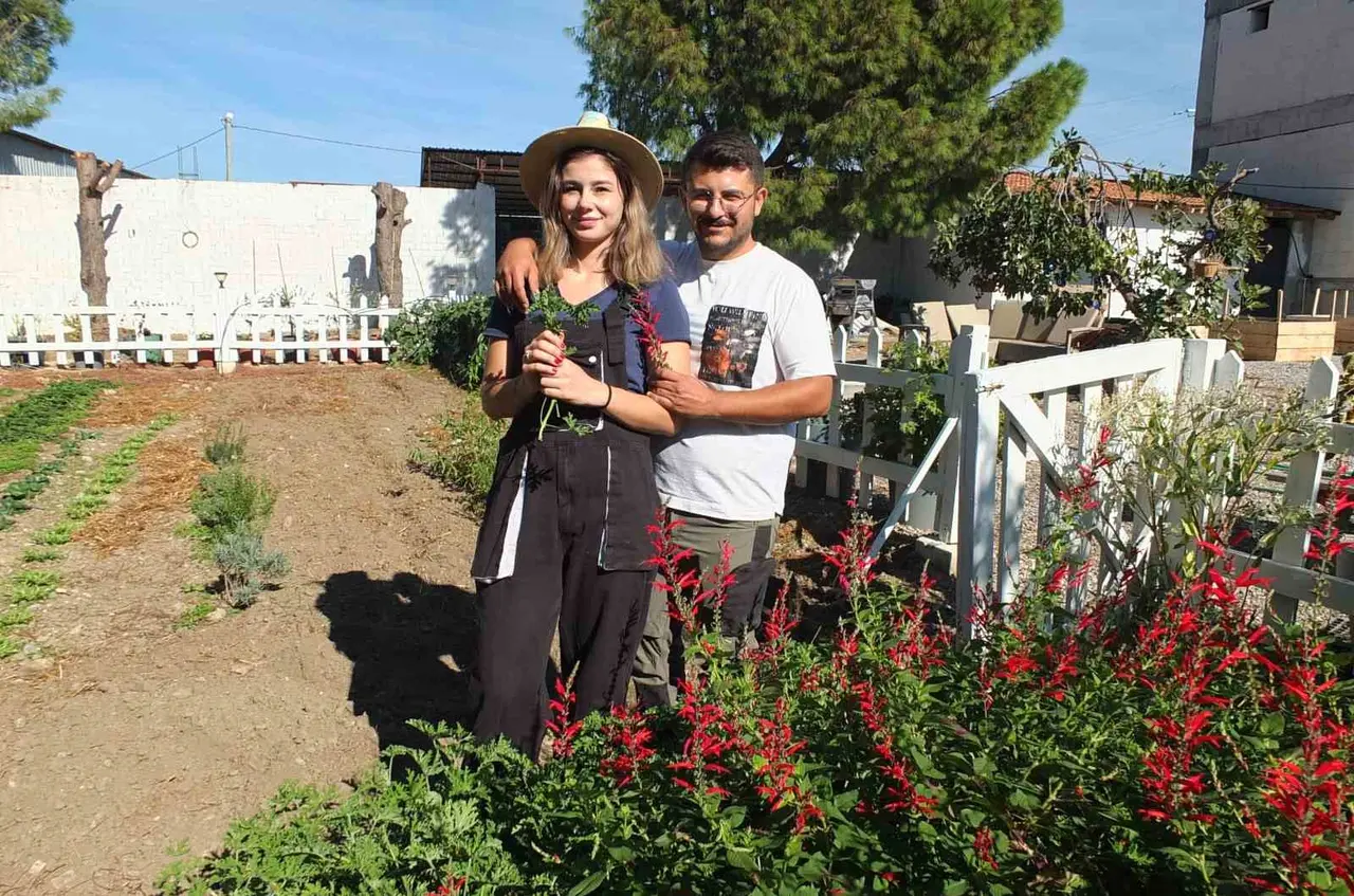 Balıkesirli kadın girişimci yurdun her tarafına fide gönderiyor