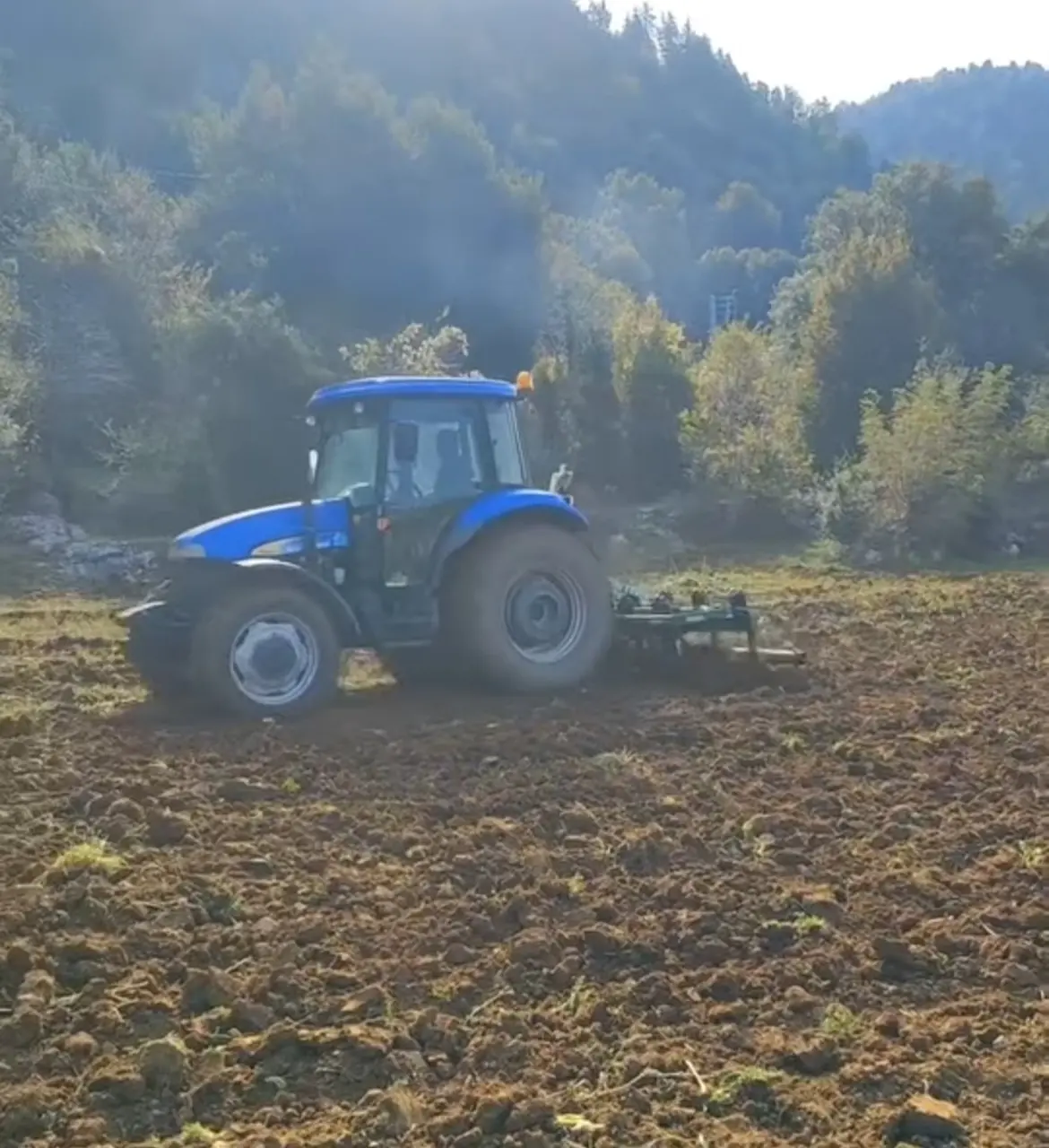 Kahramanmaraş’ta sonbahar yağmurları buğdaya can suyu oldu