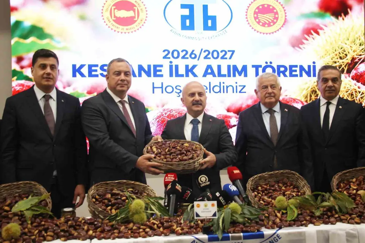 Aydın kestanesinde sezonun ilk ürünü 600 TL’den alındı