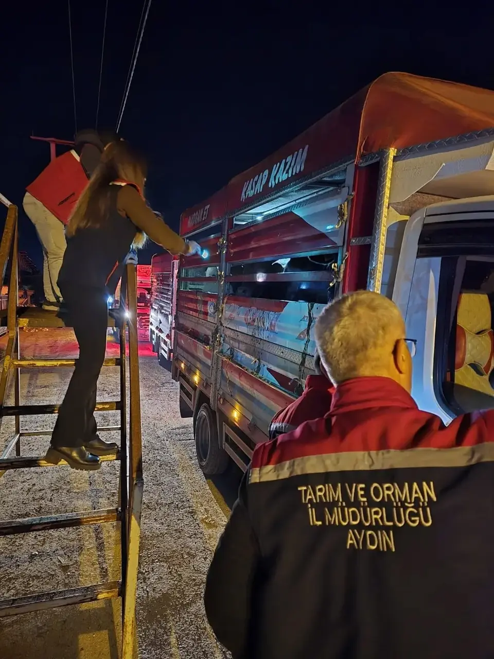 Aydın’da hayvan pazarında sıkı denetim