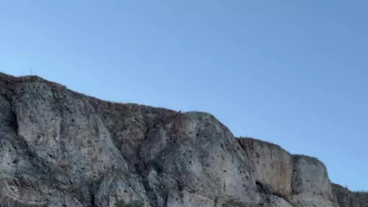 Malatya’da sürü halindeki dağ keçileri kamerada