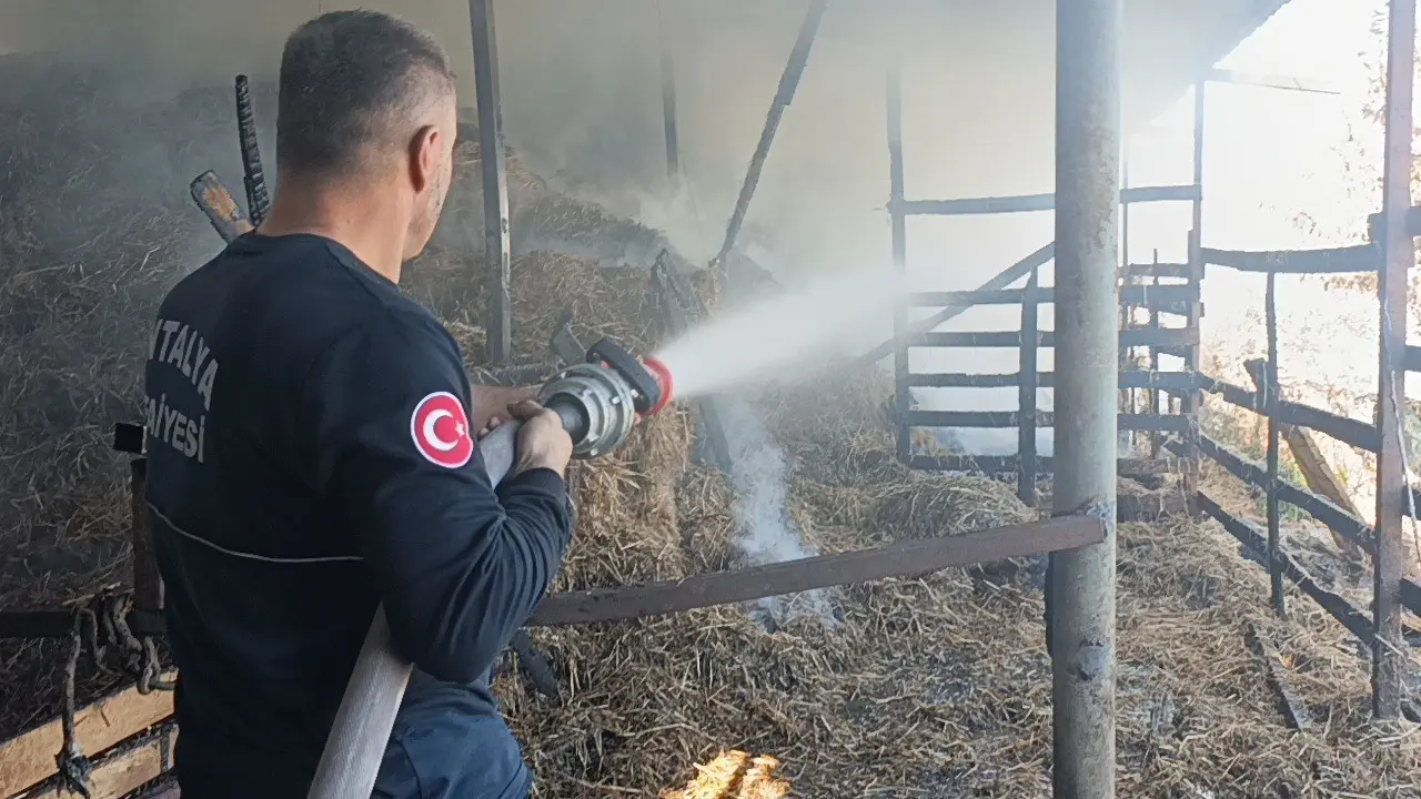 Antalya’da 2 yıl arayla ikinci kez yanan ahırda hayvanlar telef oldu