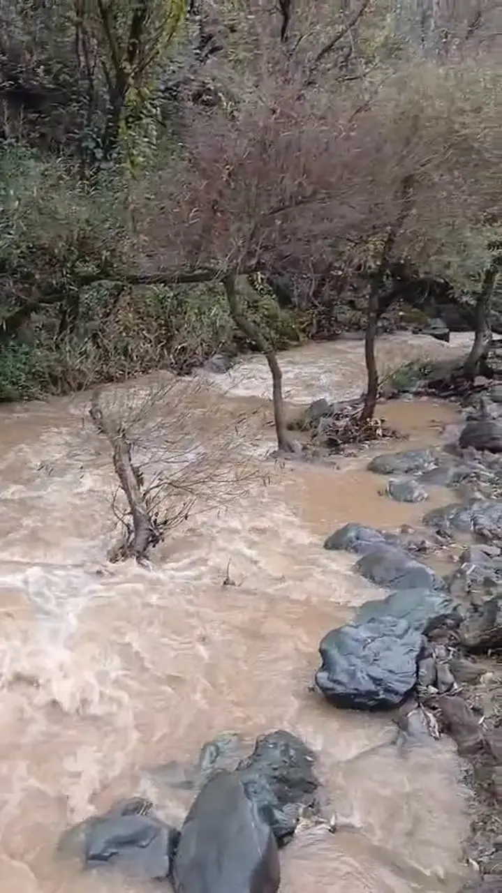 Palu’da yağışlarla Teke deresi coştu