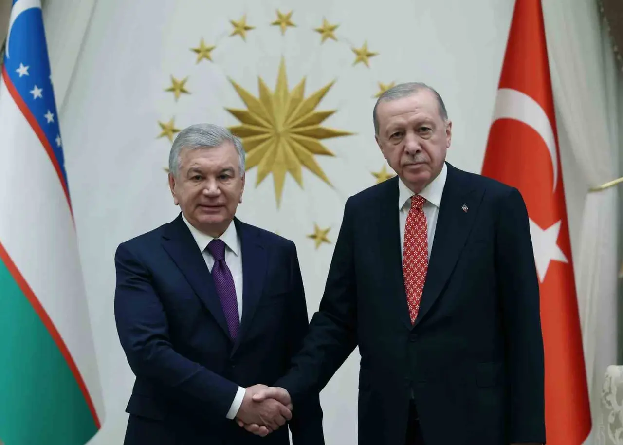 Cumhurbaşkanı Erdoğan, Özbekistan Cumhurbaşkanı Mirziyoyev ile görüştü