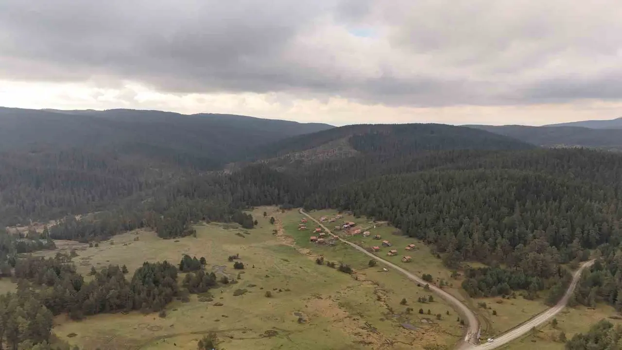 Kastamonu’da Cumhuriyet’in 103. yılına özel 103 meyve çekirdeği doğayla buluşturuldu